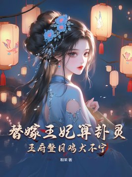 替嫁王妃小说